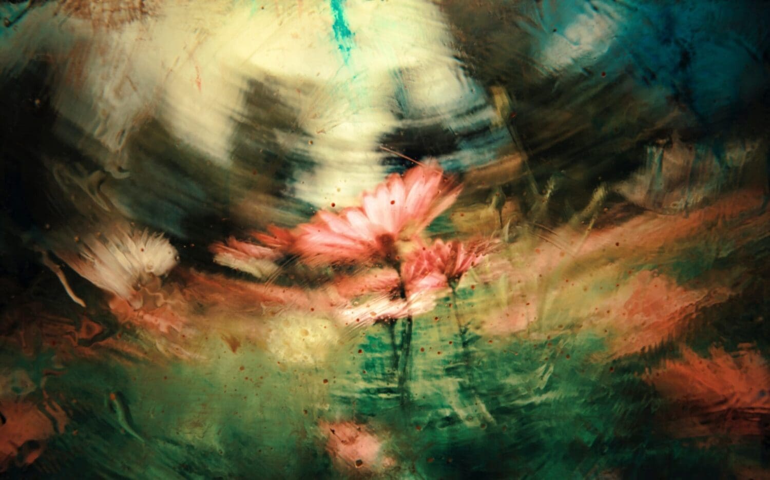 jr-korpa-AIe6wdtC3Q8-unsplash - Suzanne Kane dreams