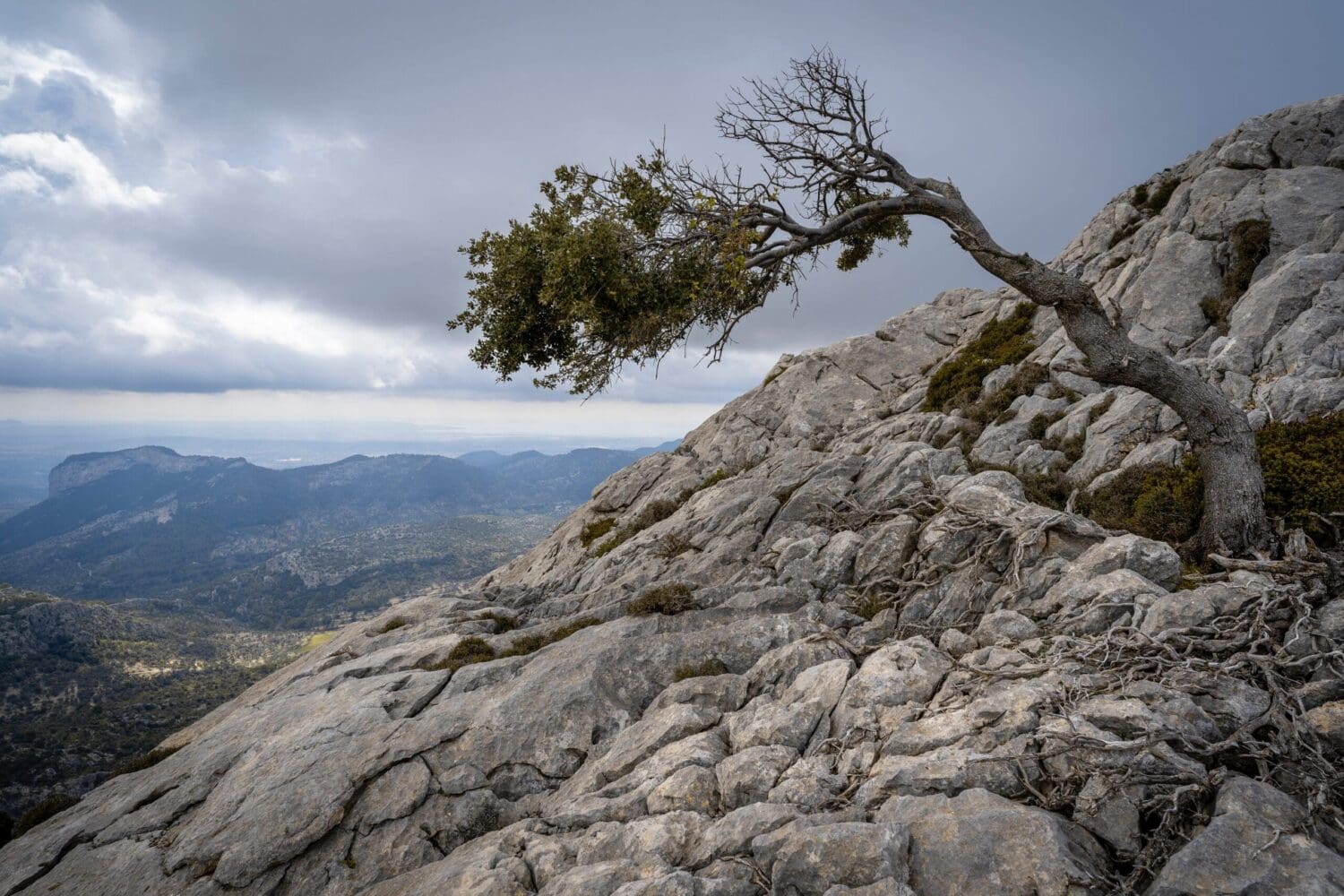 pedro-sanz-5viuCBIXywA-unsplash_MOD-52493 - Suzanne Kane take back your powwer