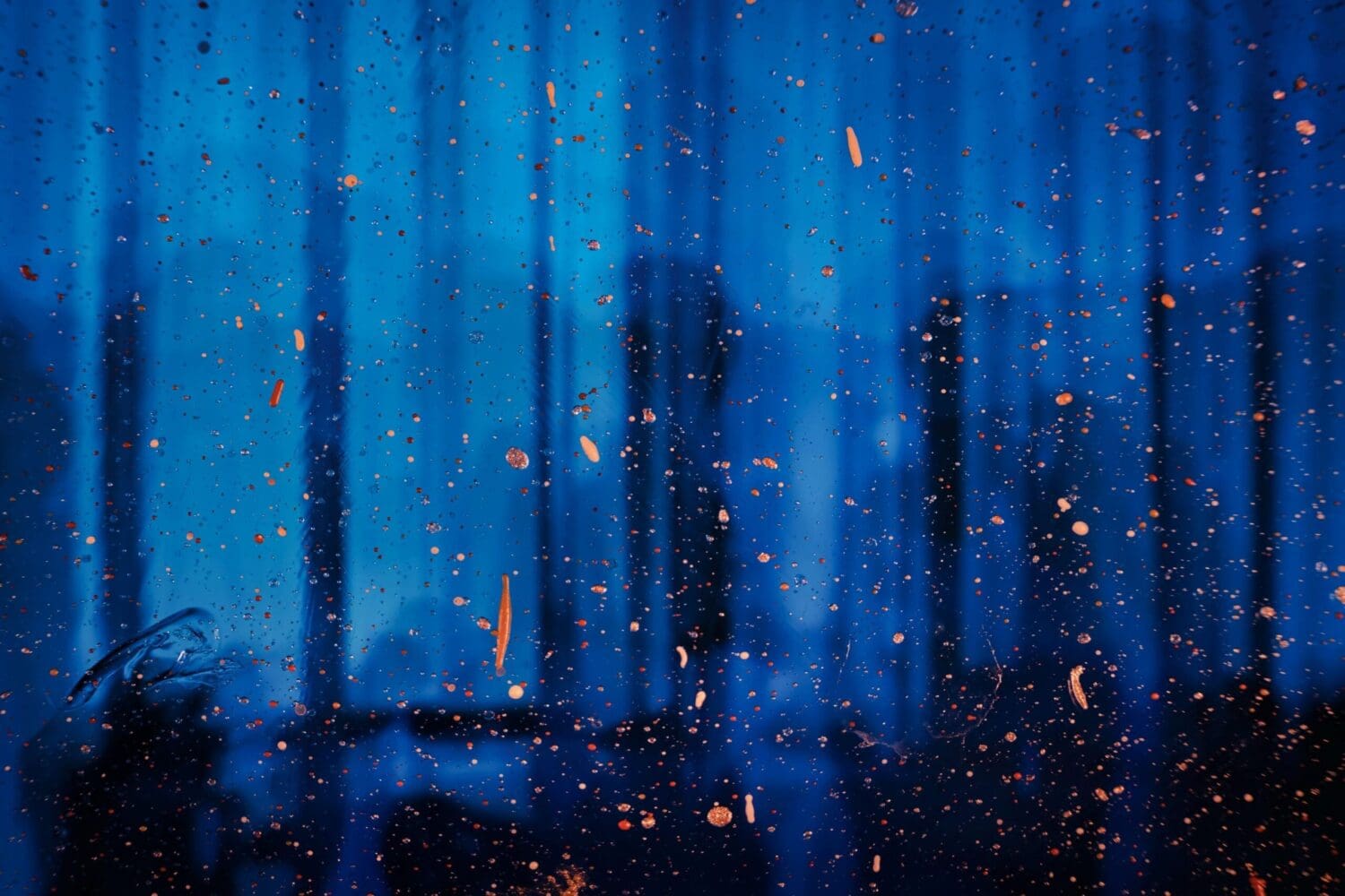 jr-korpa-E2i7Hftb_rI-unsplash - Suzanne Kane A Vibrant Blue and Orange Background