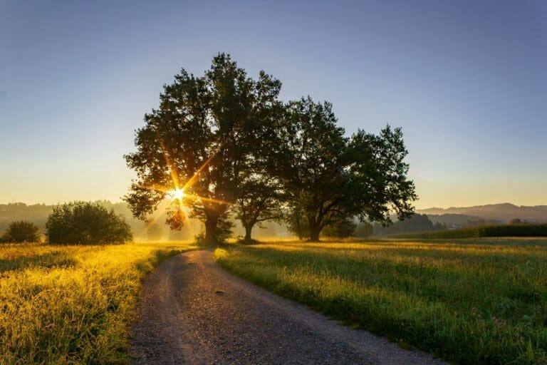 jan-huber-AXTcyzKtoYs-unsplash - Suzanne Kane let the past go