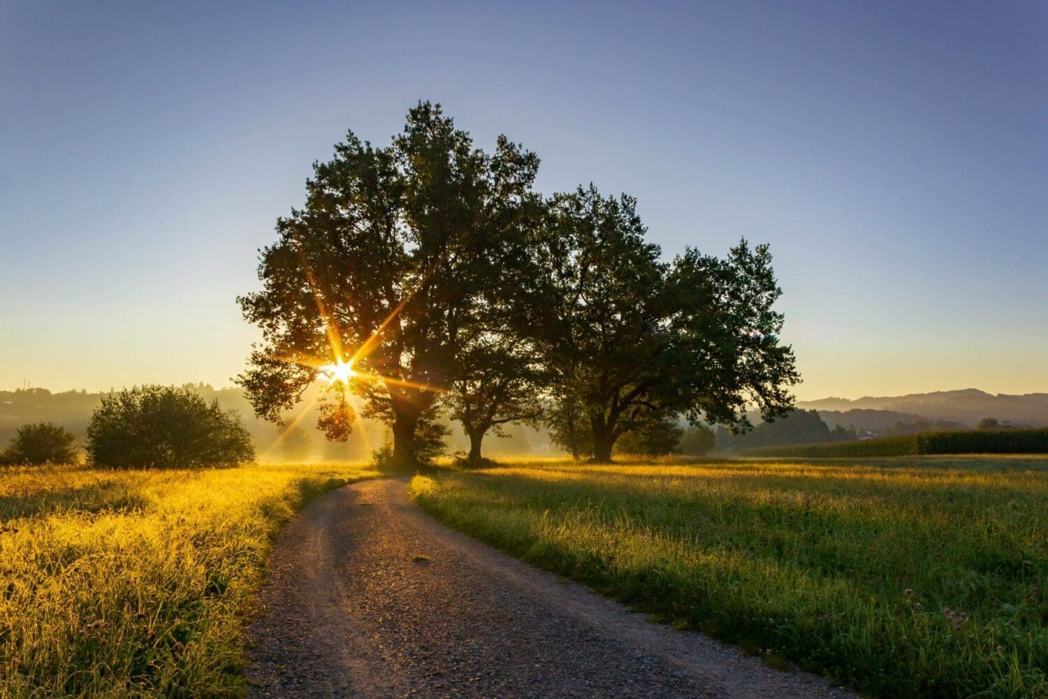 jan-huber-AXTcyzKtoYs-unsplash - Suzanne Kane let the past go