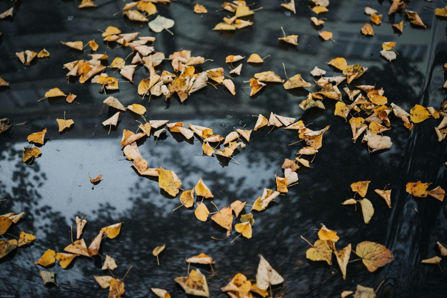 opening your heart