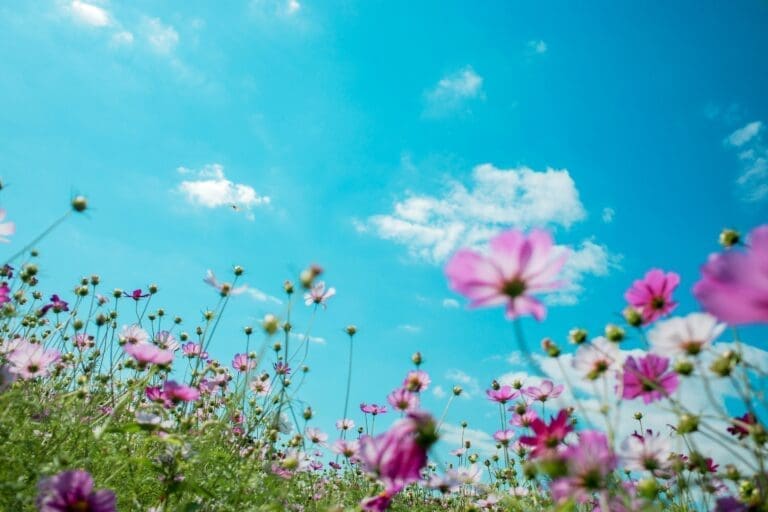 simplify your life