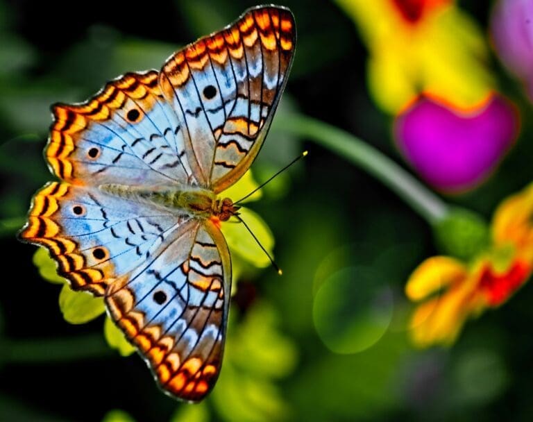 transform your mind