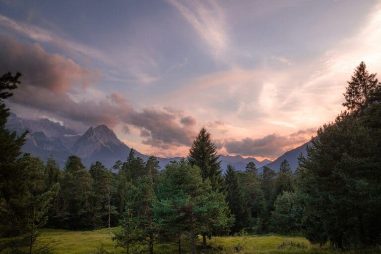 karsten-wurth-algc0FKHeMA-unsplash - Suzanne Kane simplify your life