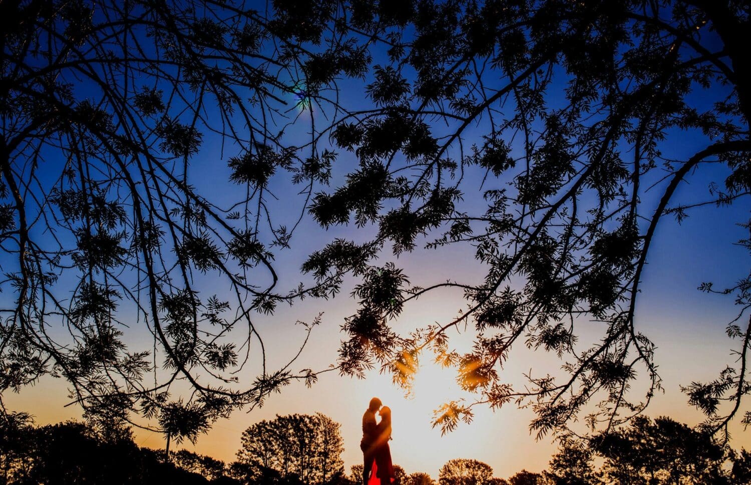 everton-vila-gS6mGS0SrNw-unsplash - Suzanne Kane do what you love