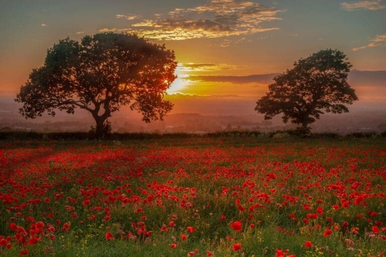 make the most of today