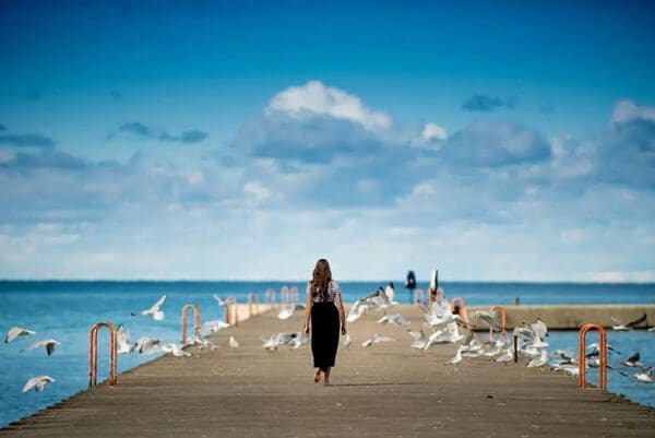ben-white-j1h011Awz1A-unsplash-1 1 - Suzanne Kane A woman strolls along a pier as seagulls soar above her