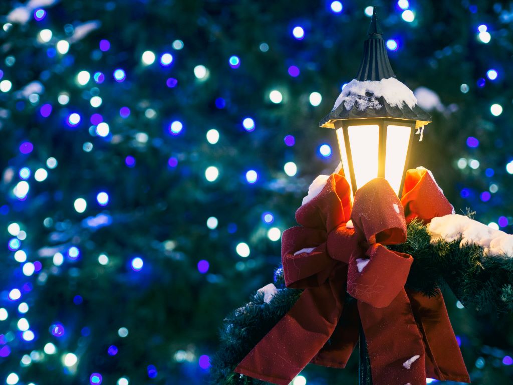aaron-burden-Mu_9w7l1koI-unsplash - Suzanne Kane enjoy a happier holiday