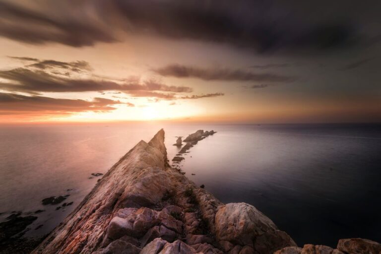 levi-xu-Mc8h1jPrfrM-unsplash - Suzanne Kane to be a success