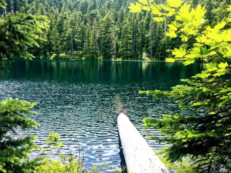 finding tranquility