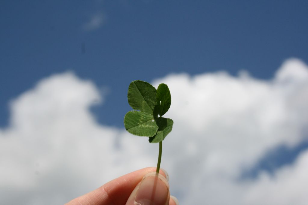 barbara-krysztofiak-h86PF6MMO1U-unsplash - Suzanne Kane luck or good fortune