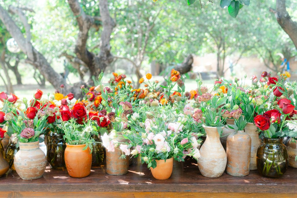 bruno-cervera-bKkTODJnL20-unsplash - Suzanne Kane benefit most from spring