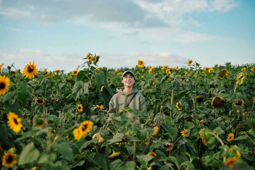 josh-hild-16ZUFFYQdbo-unsplash - Suzanne Kane humor to feel better