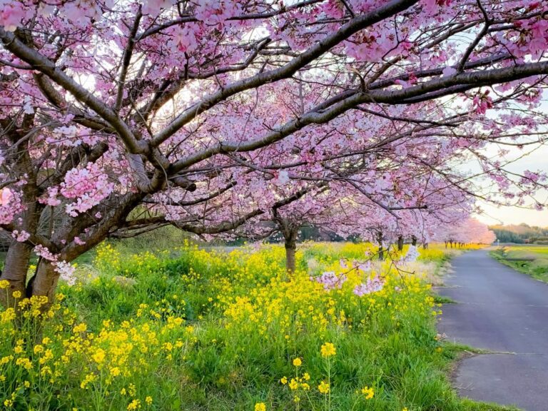 benefit most from spring