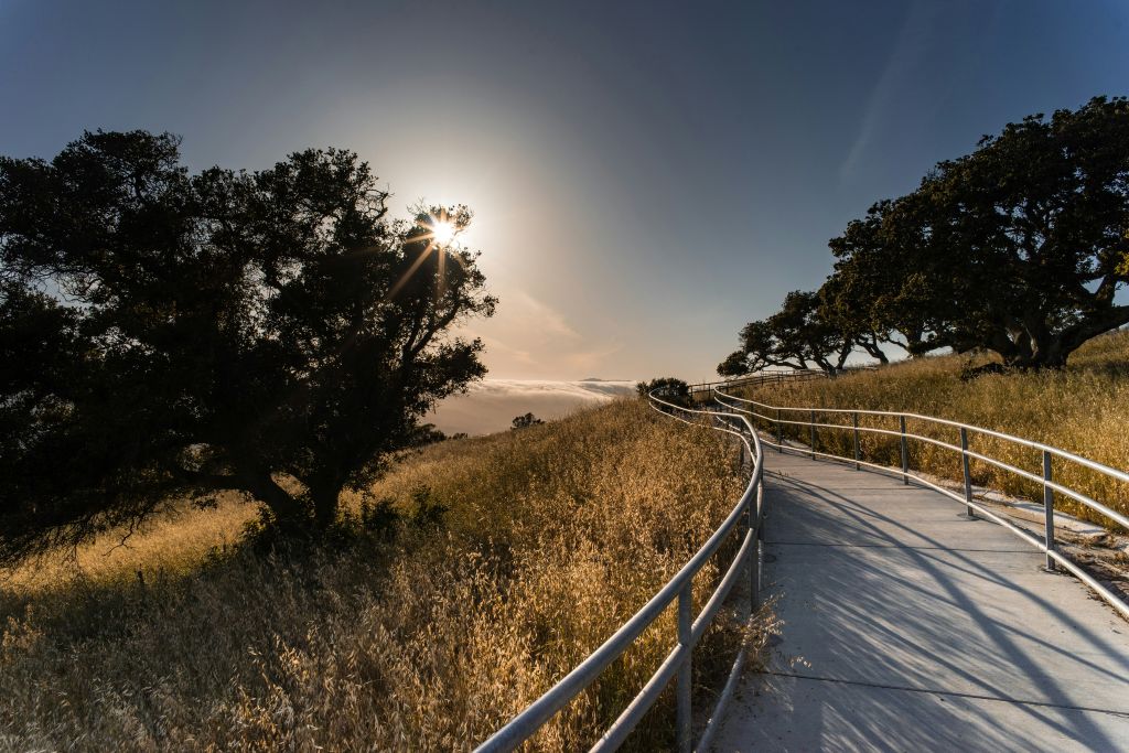paulius-dragunas-gPCKjcUbcU0-unsplash - Suzanne Kane find peace of mind
