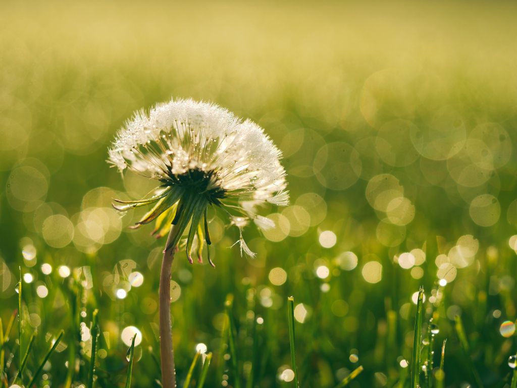 hope boosts well-being