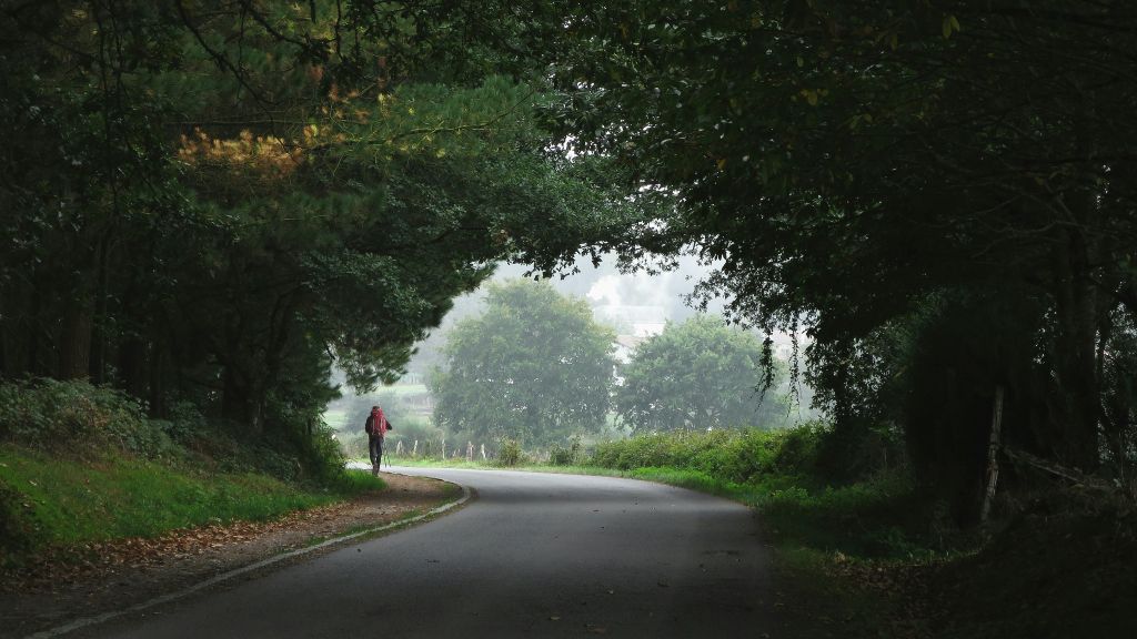 damien-dufour-1Ycipckjhb8-unsplash - Suzanne Kane change your path