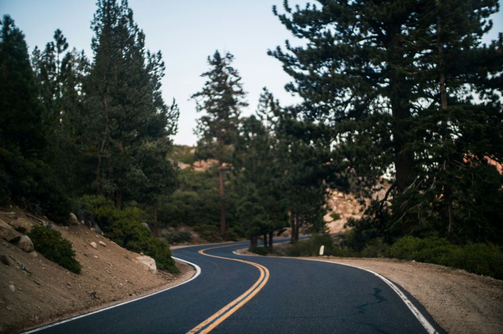 dominik-lange-WML_dZlvCm0-unsplash - Suzanne Kane change your path