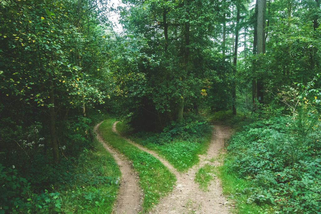 jens-lelie-u0vgcIOQG08-unsplash - Suzanne Kane change your path