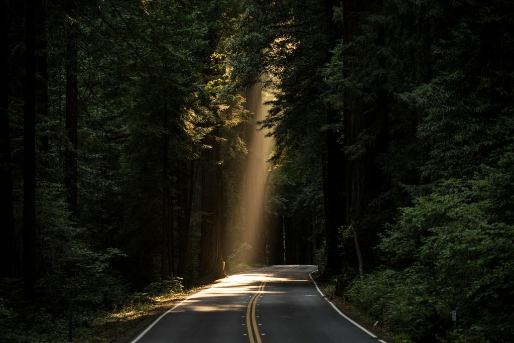 john-towner-3Kv48NS4WUU-unsplash - Suzanne Kane hope boosts well-being