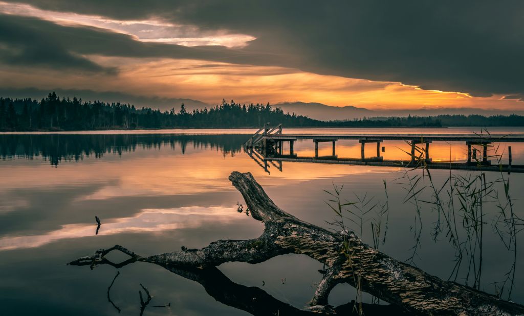 mario-dobelmann-cnruGArGfYM-unsplash - Suzanne Kane change your path