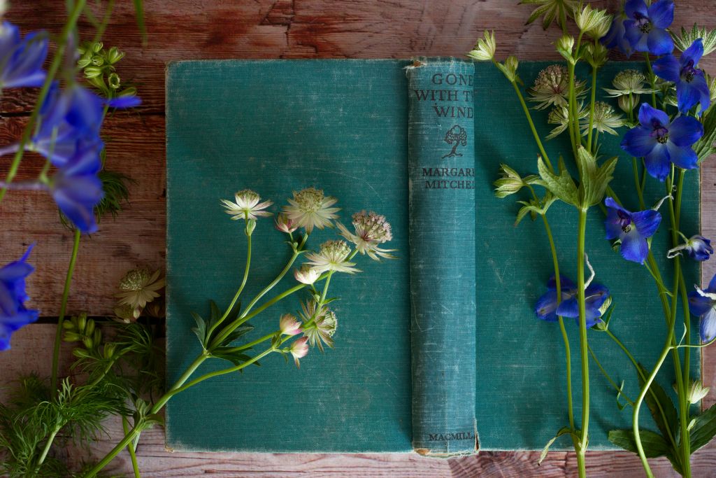 micheile-henderson-cIwxMATsLz4-unsplash - Suzanne Kane power of secrets