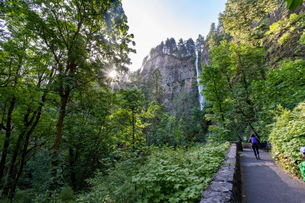 mick-haupt-9s_XRZxcUhY-unsplash - Suzanne Kane change your path