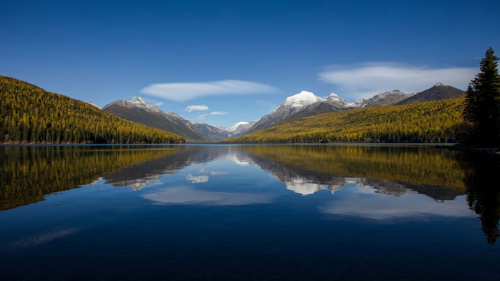 bill-stephan-plosIOdq4qk-unsplash - Suzanne Kane best mindful walks
