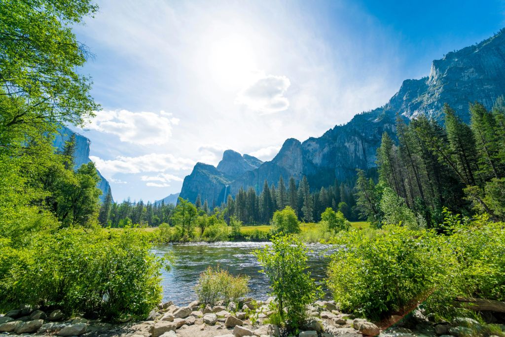 cristofer-maximilian-muNaqVq7sTs-unsplash - Suzanne Kane how to be content