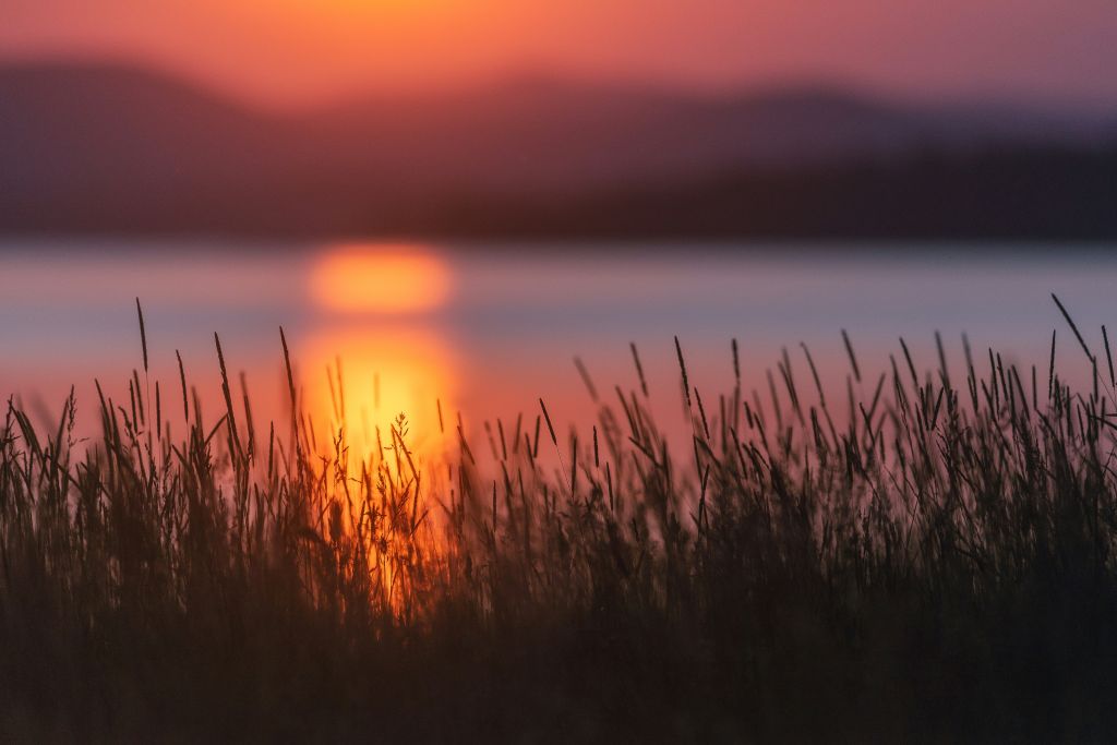 daniil-silantev-xUfATl0k8Cg-unsplash - Suzanne Kane fully live your life