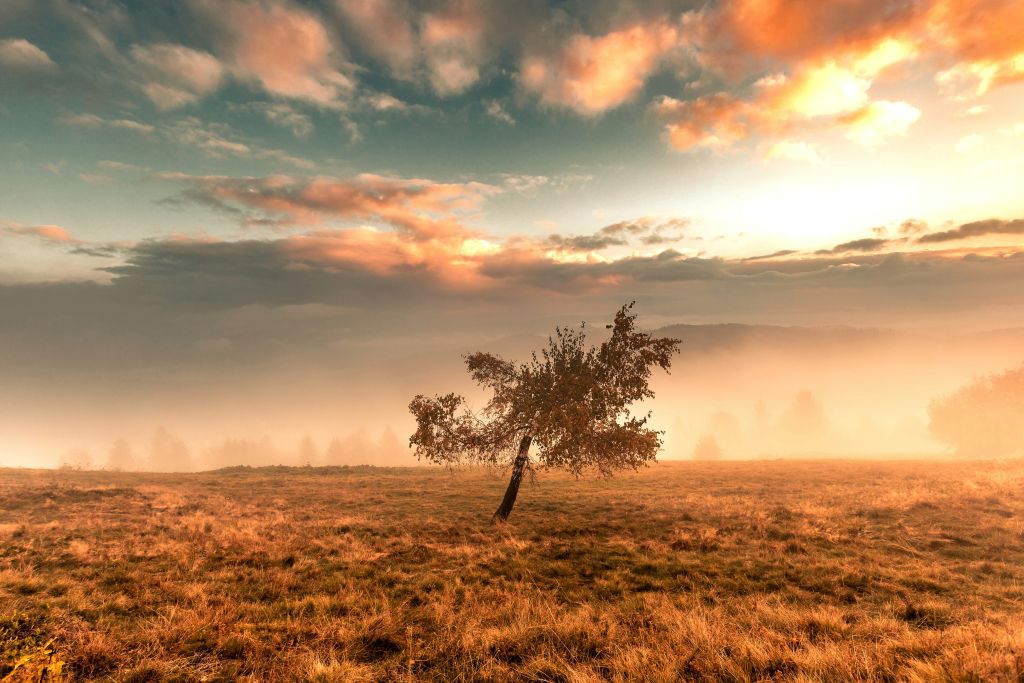 dawid-zawila-71Mb0R8-8xM-unsplash - Suzanne Kane make life magical