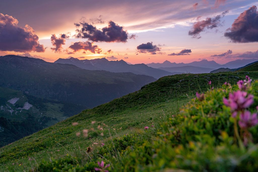 hugues-de-buyer-mimeure-lQPEChtLjUo-unsplash 1 - Suzanne Kane power of silence