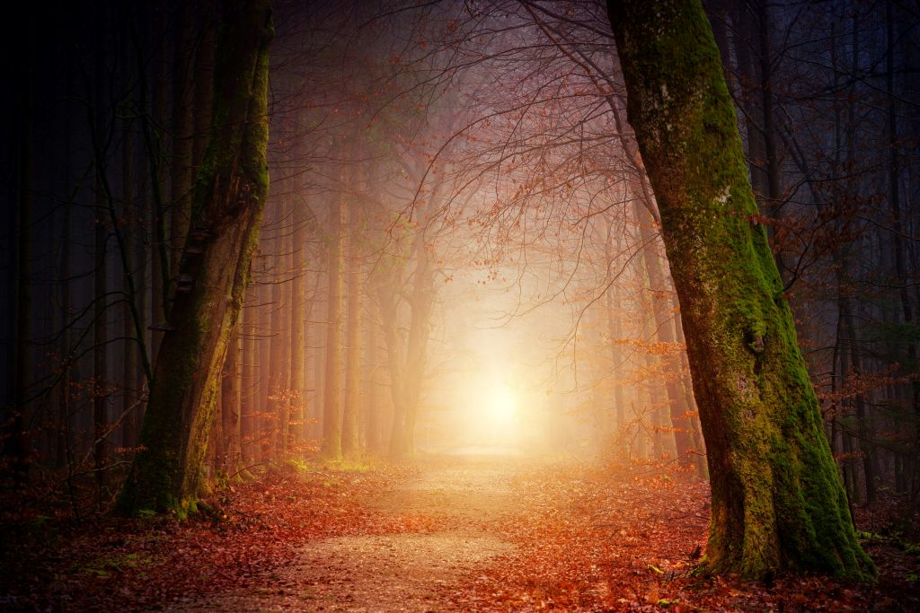 johannes-plenio-1vzLW-ihJaM-unsplash - Suzanne Kane make life magical
