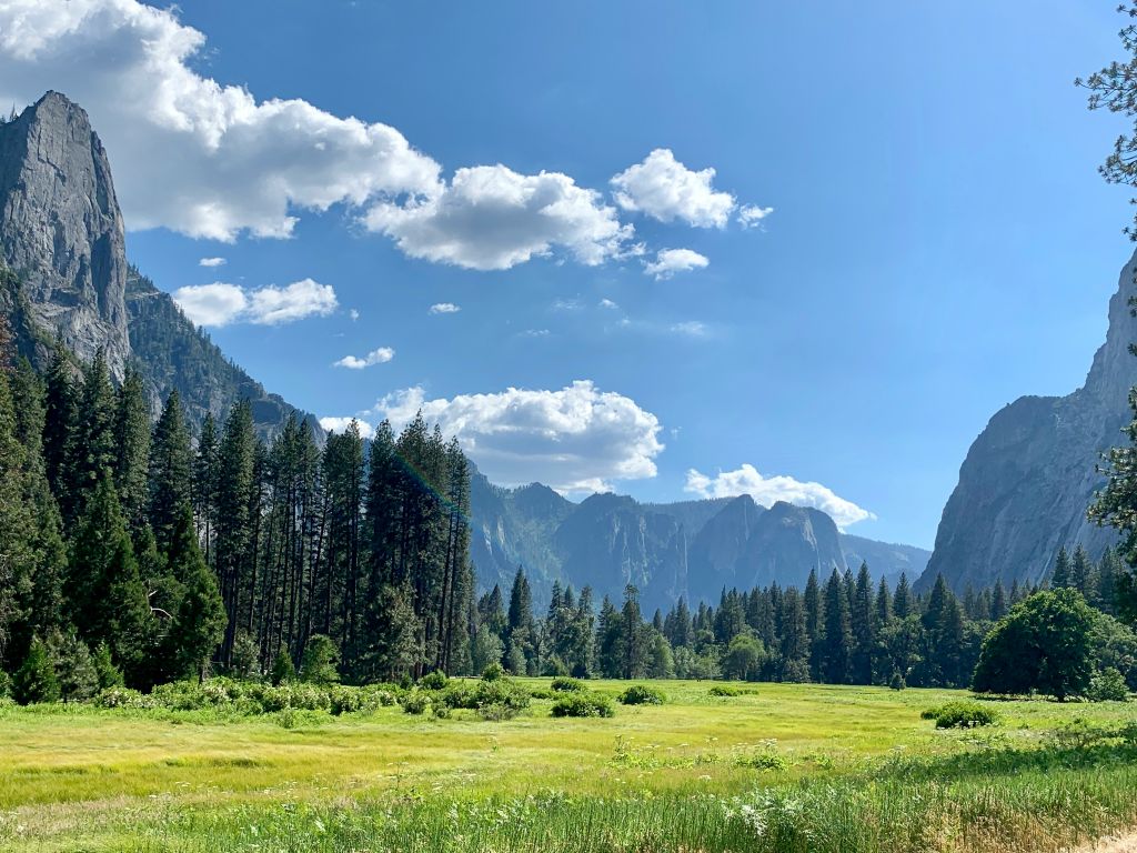 max-pruvost-OJ02cQHePds-unsplash - Suzanne Kane best mindful walks