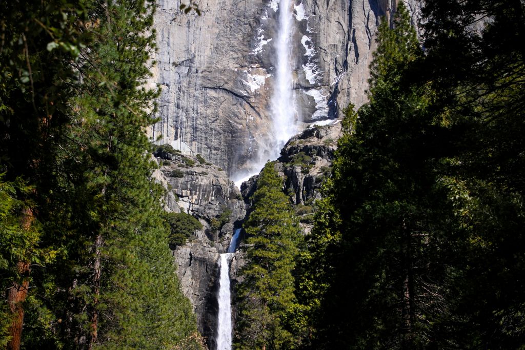 michael-diane-weidner-nf9kjXTk2Ec-unsplash - Suzanne Kane best mindful walks