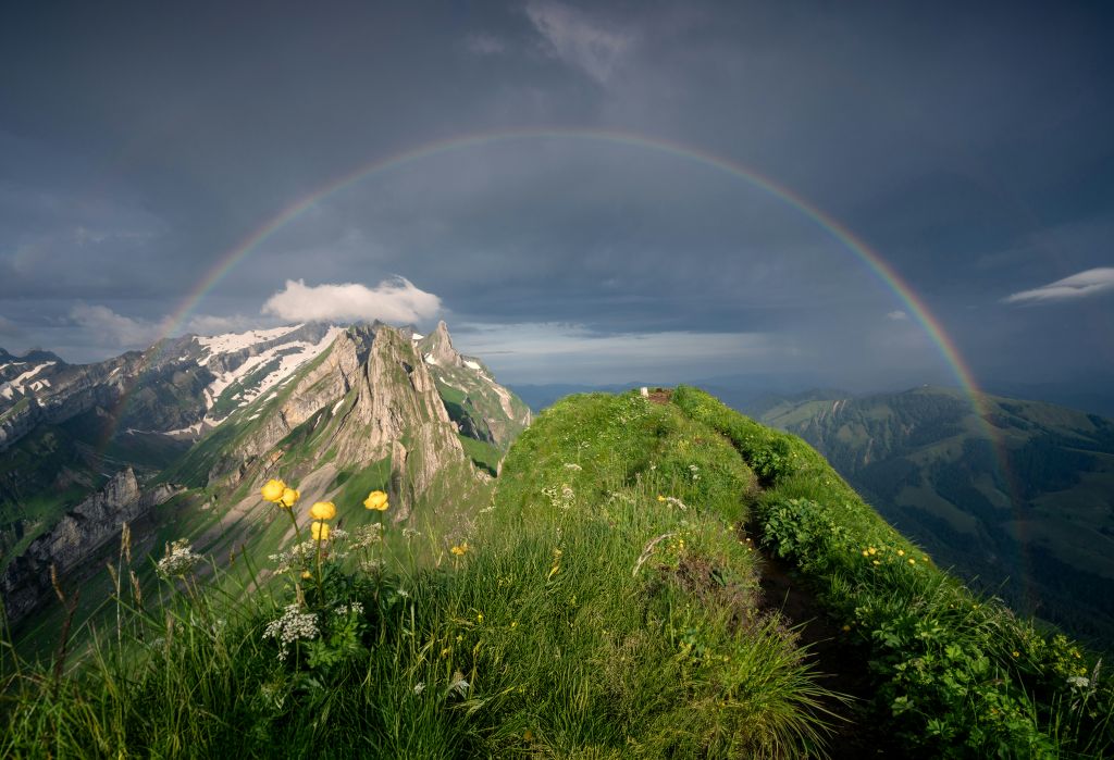 pascal-debrunner-vwFvhJf6u_I-unsplash - Suzanne Kane how to start over