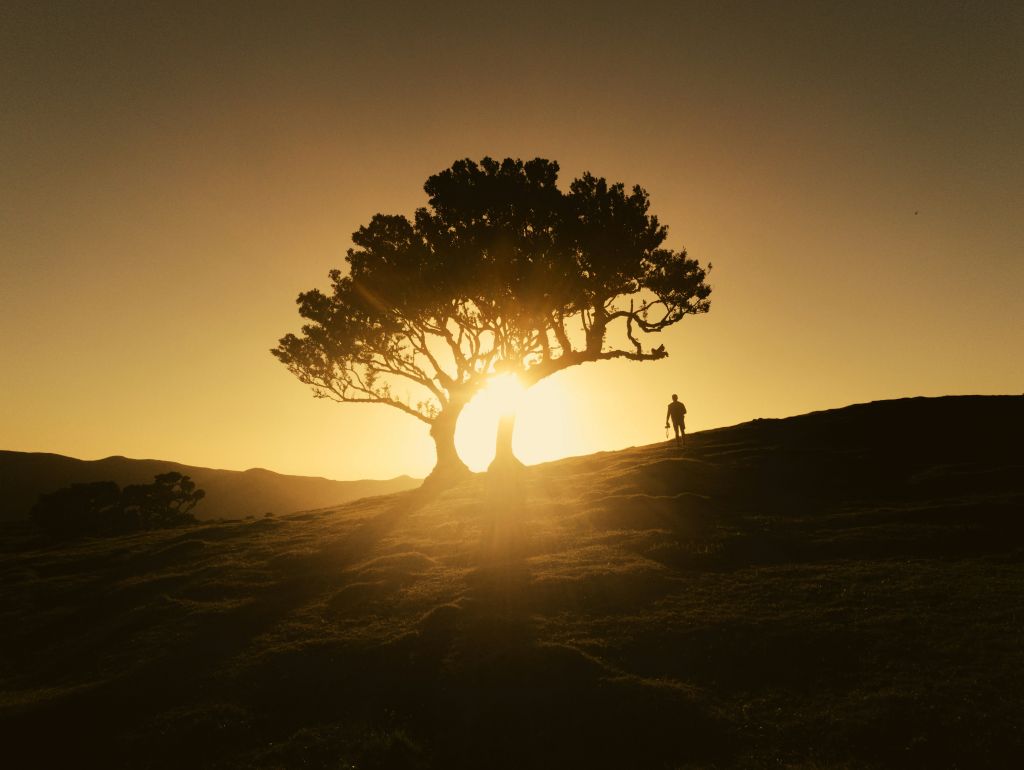 reinaldo-photography-hlw-xb9Le0w-unsplash - Suzanne Kane how to be content
