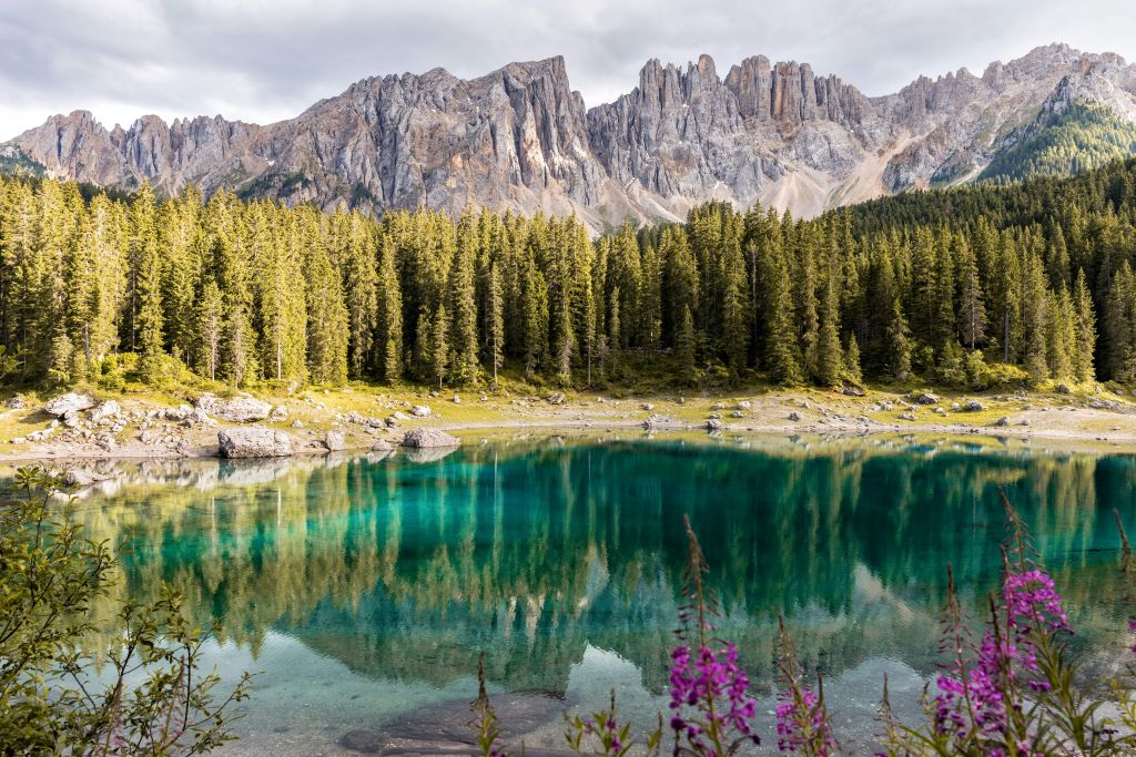 riccardo-chiarini-2VDa8bnLM8c-unsplash - Suzanne Kane is your life happy