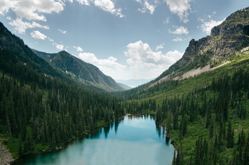 tevin-trinh-ChLh2Y2yLEU-unsplash - Suzanne Kane best mindful walks