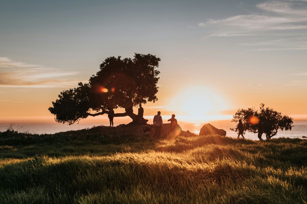 tim-mossholder-DnRG-ekYYGs-unsplash - Suzanne Kane how to be content