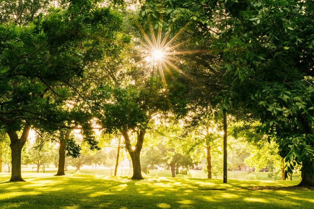 embrace spirituality