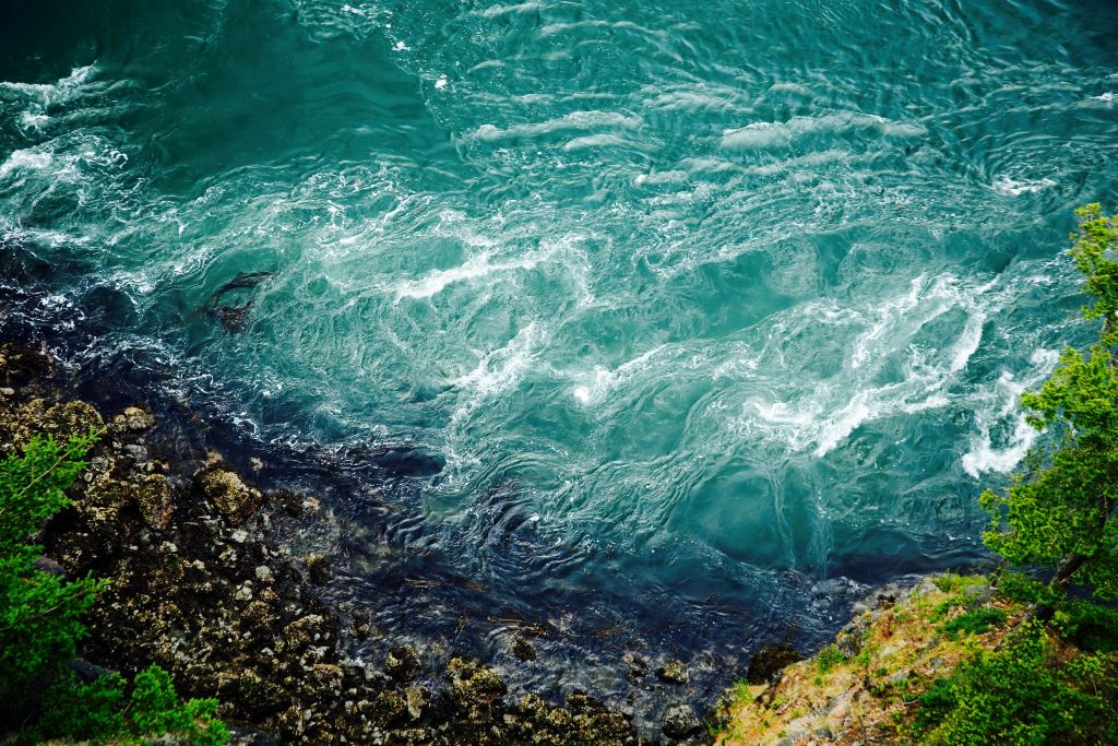 madison-rios-ucbF1omm3r4-unsplash - Suzanne Kane secrets of truth