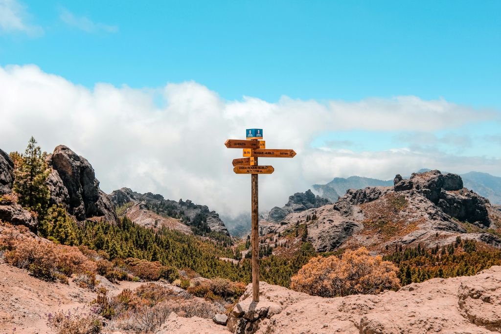 miltiadis-fragkidis-y1Y41NReECw-unsplash - Suzanne Kane make better life choices