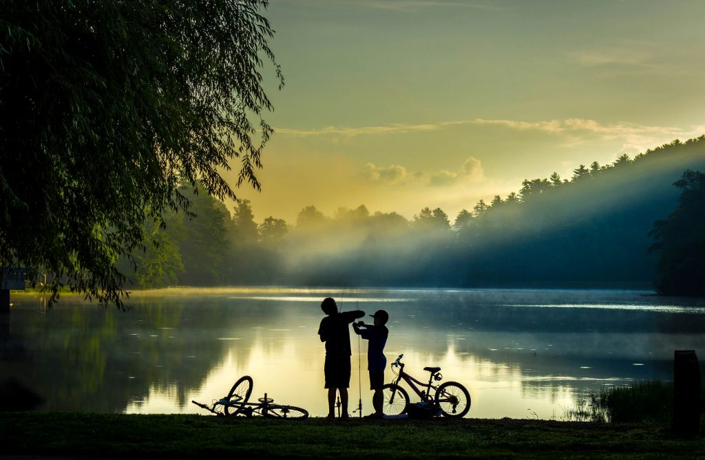 alfred-schrock-fzDGzmEyZh4-unsplash - Suzanne Kane pay attention