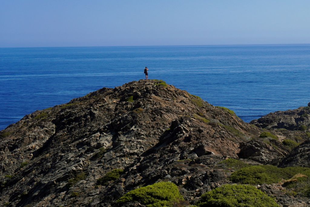 annika-wischnewsky-__3HyuUuULU-unsplash - Suzanne Kane mastering focus