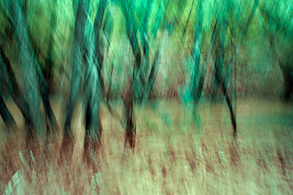 jr-korpa-WfWUS4yOZ30-unsplash - Suzanne Kane habits for amazing happiness