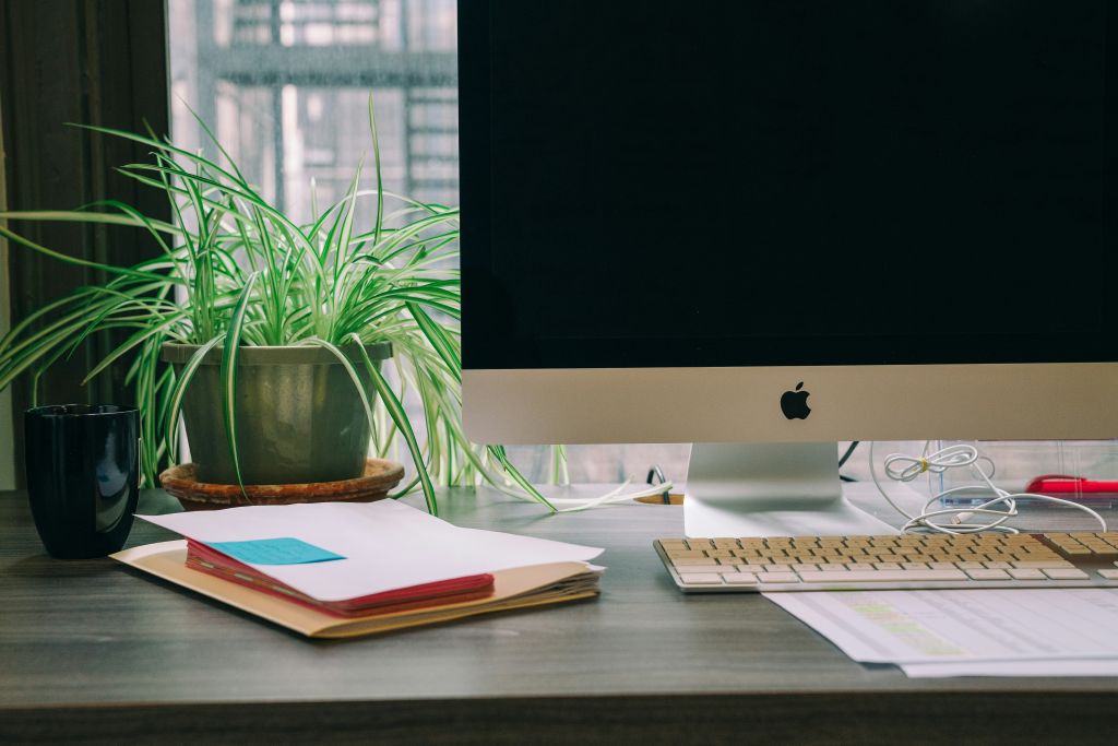 michael-aleo-jUrku7MmrNY-unsplash - Suzanne Kane mastering focus