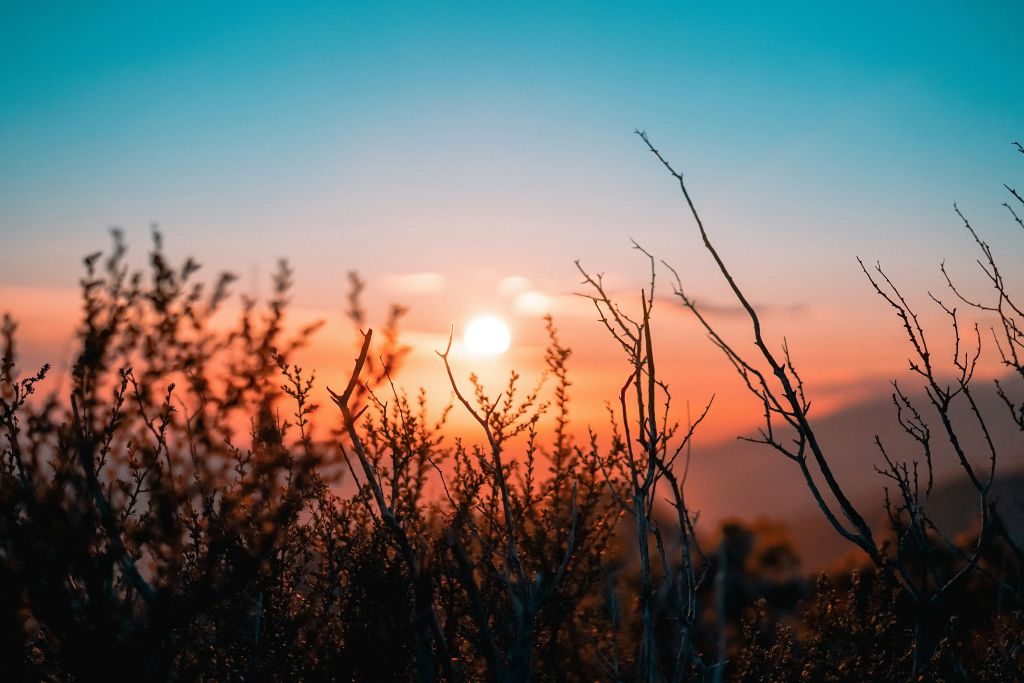 oc-gonzalez-xg8z_KhSorQ-unsplash - Suzanne Kane find peace and calm