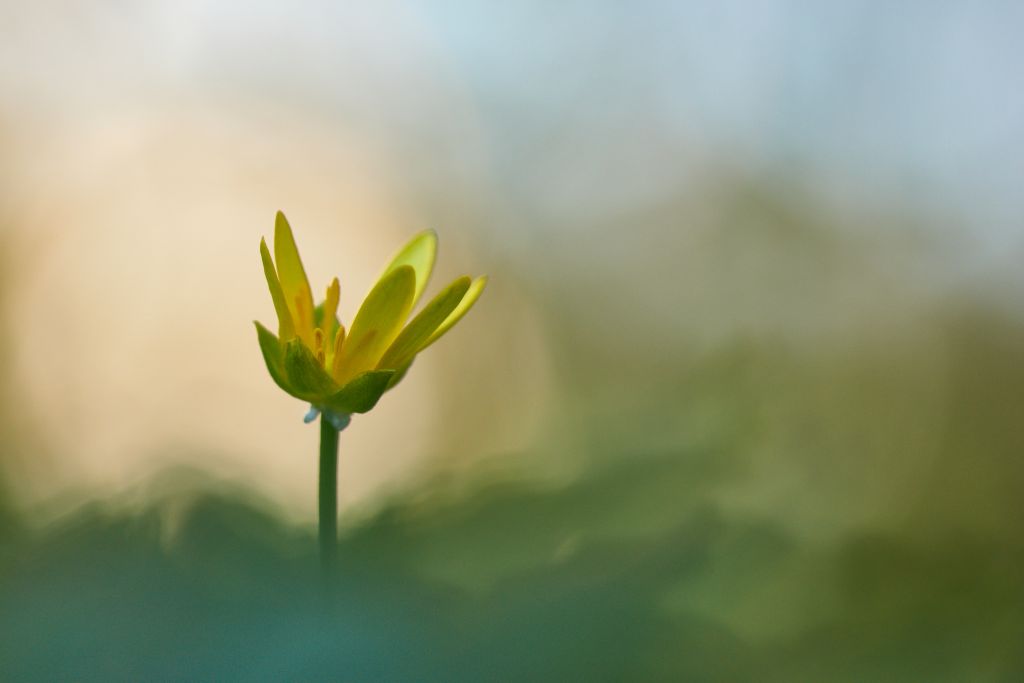 build resilience